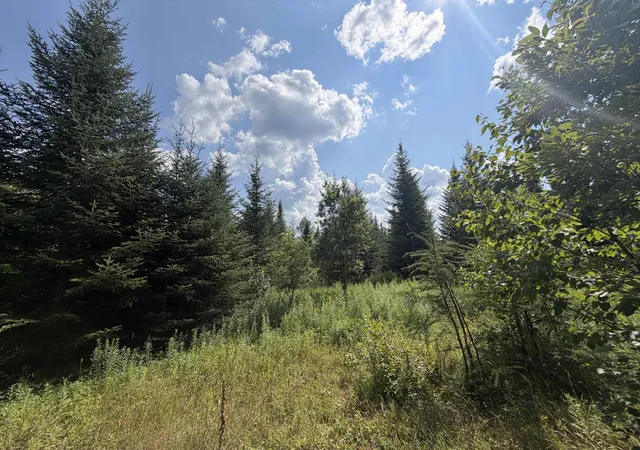 Photo 4 of Land for sale at - Todd Hill Rd, Lemington, VT 05903 | MLS# 5103870 | Listing updated on 2026-09-09