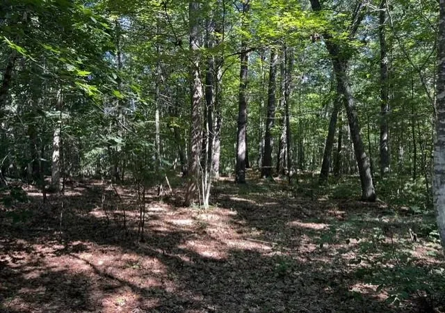 2nd image of 271 Atlantic Ave, North Hampton, NH 03862 | MLS# 5103932