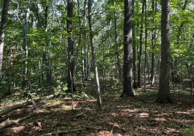 Photo 3 of Land for sale at 271 Atlantic Ave, North Hampton, NH 03862 | MLS# 5103932 | Listing updated on 2026-09-17
