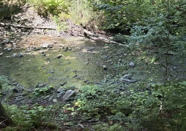 Photo 3 of Land for sale at 3450 Chateauguay Rd, Barnard, VT 05031 | MLS# 5103953 | Listing updated on 2026-08-26