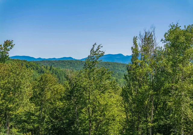 60th image of 71 Ellsworth Pond Rd, Ellsworth, NH 03223 | MLS# 5104003