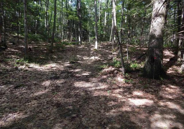 2nd image of Oxbow Rd, Hinsdale, NH 03451 | MLS# 5104054