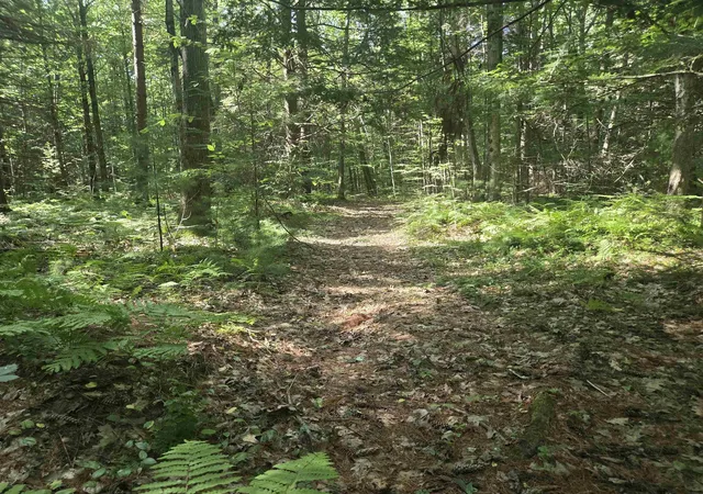 Photo 4 of Land for sale at 00 Basin Harbor Rd, Vergennes, VT 05491 | MLS# 5104078 | Listing updated on 2026-08-08