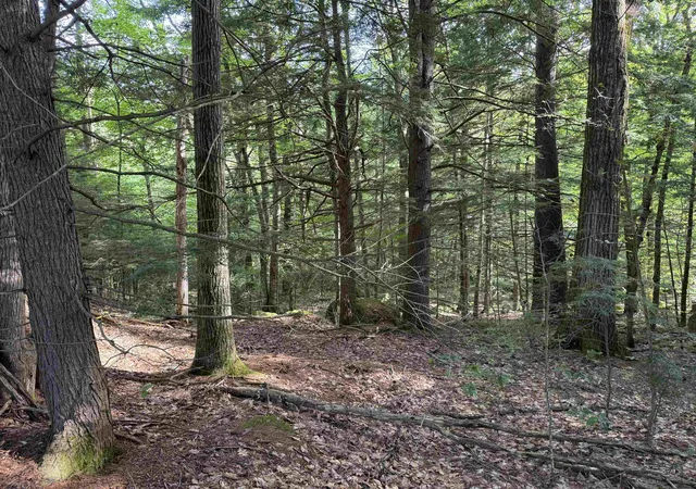 Land for sale at 14-189 Seminole Rd, Hillsborough, NH 03244 | MLS# 5104112
