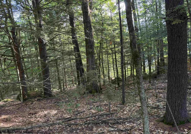 Photo 2 of Land for sale at 14 189 Seminole Rd, Hillsborough, NH 03244 | MLS# 5104112 | Listing updated on 2026-09-14