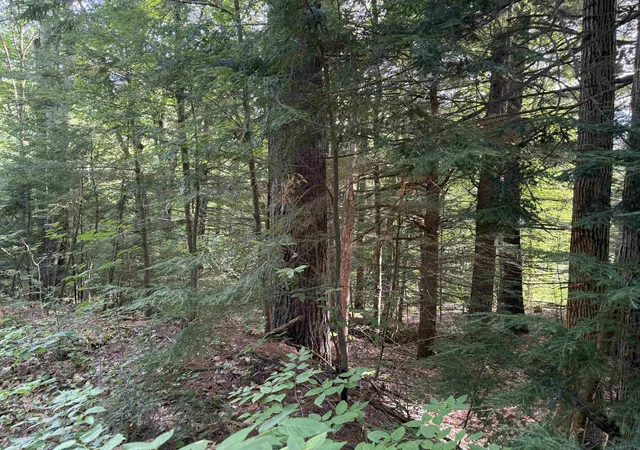 Photo 3 of Land for sale at 14-189 Seminole Rd, Hillsborough, NH 03244 | MLS# 5104112 | Listing updated on 2026-10-08