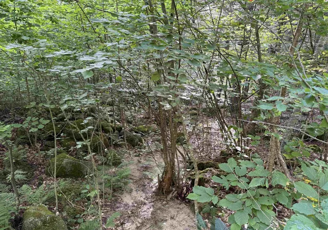 Photo 4 of Land for sale at 14-189 Seminole Rd, Hillsborough, NH 03244 | MLS# 5104112 | Listing updated on 2026-10-08