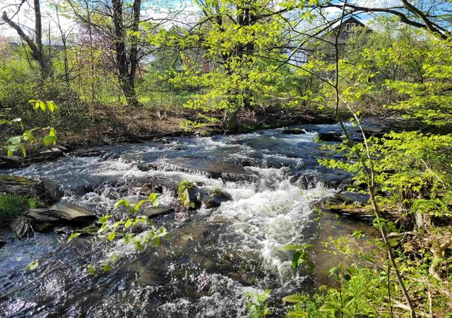 Photo 2 of Land for sale at 59 Egg St, West Pawlet, VT 05775 | MLS# 5104181 | Listing updated on 2026-08-10