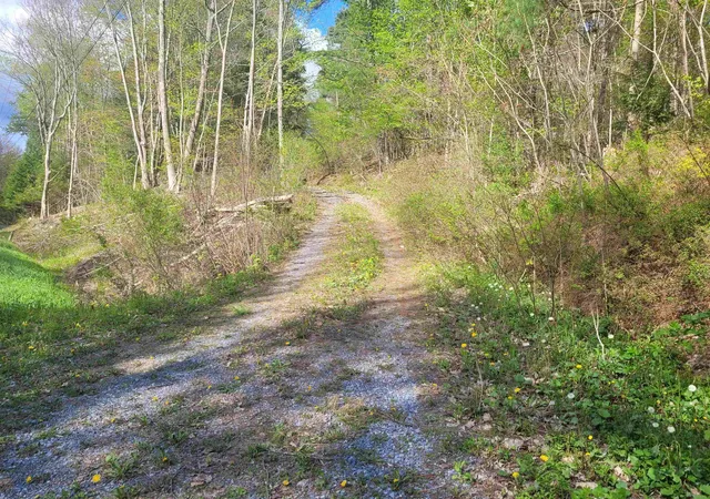 Photo 3 of Land for sale at 59 Egg St, West Pawlet, VT 05775 | MLS# 5104181 | Listing updated on 2026-08-10