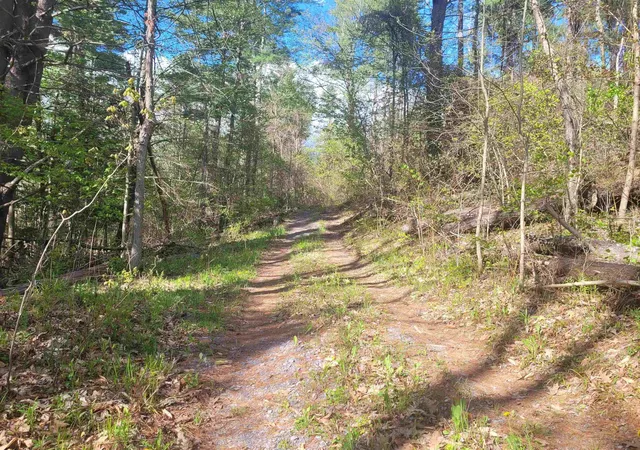 Photo 3 of Land for sale at 59 Egg St, West Pawlet, VT 05775 | MLS# 5104181 | Listing updated on 2026-08-10