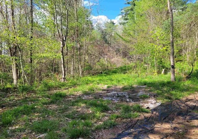 Photo 4 of Land for sale at 59 Egg St, West Pawlet, VT 05775 | MLS# 5104181 | Listing updated on 2026-08-10