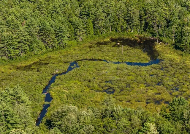 Photo 3 of Land for sale at M 17 L 20&21 Ridge Rd, Middleton, NH 03887 | MLS# 5104189 | Listing updated on 2026-08-10