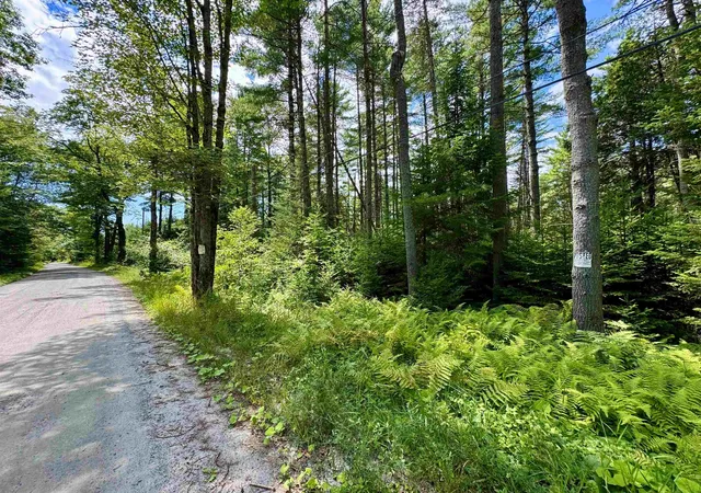 Photo 2 of Land for sale at 00 Perini Rd, Newbury, VT 05051 | MLS# 5104234 | Listing updated on 2026-08-10