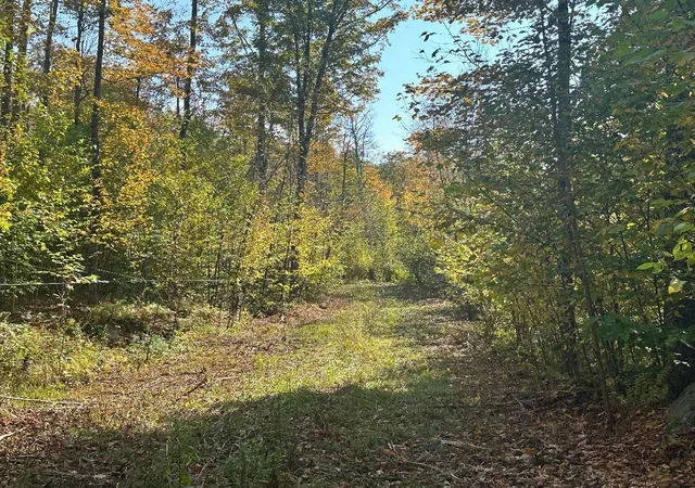 Photo 3 of Land for sale at 0 Brookview Ln, Wolcott, VT 05680 | MLS# 5104300 | Listing updated on 2026-08-31