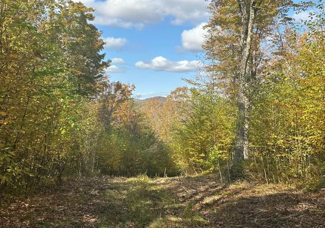 Photo 4 of Land for sale at 0 Brookview Ln, Wolcott, VT 05680 | MLS# 5104300 | Listing updated on 2026-08-31