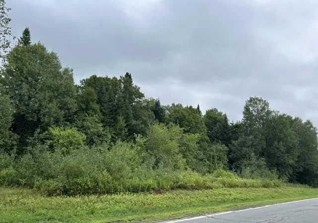 2nd image of Route 145, Clarksville, NH 03592 | MLS# 5104374