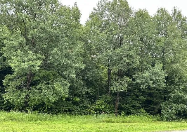 4th image of - Route 145, Clarksville, NH 03592 | MLS# 5104374