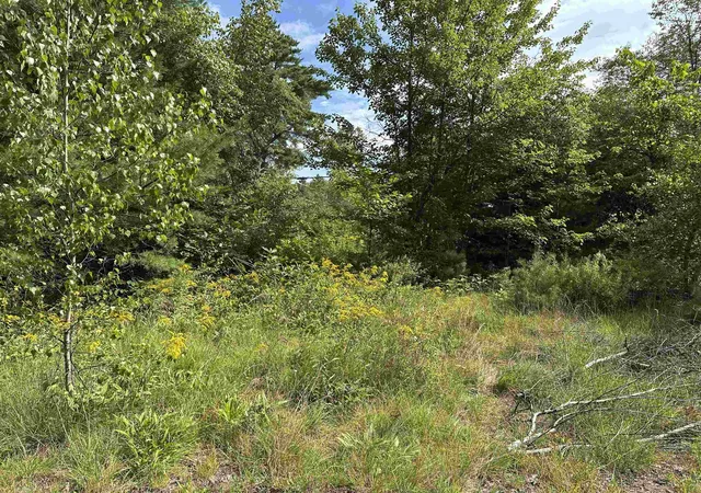 Photo 3 of Land for sale at 00 Main St, Grafton, NH 03240 | MLS# 5104397 | Listing updated on 2026-09-22