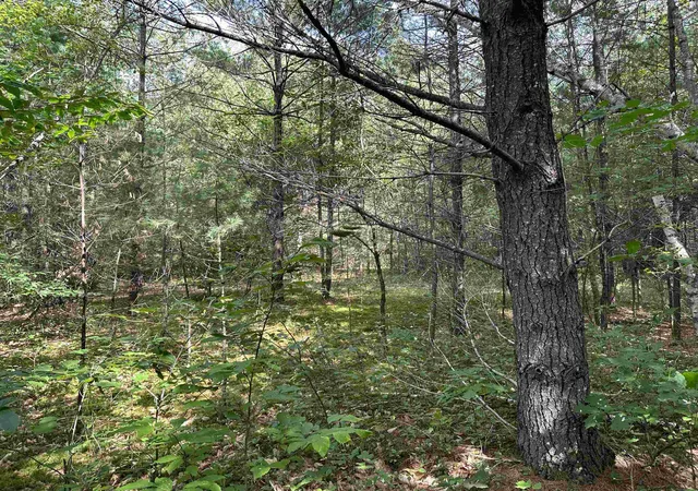 Photo 4 of Land for sale at 00 Main St, Grafton, NH 03240 | MLS# 5104397 | Listing updated on 2026-09-22