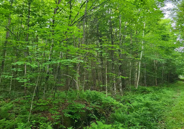 17th image of Lot 2 Bear Mountain Rd, Hebron, NH 03241 | MLS# 5104418