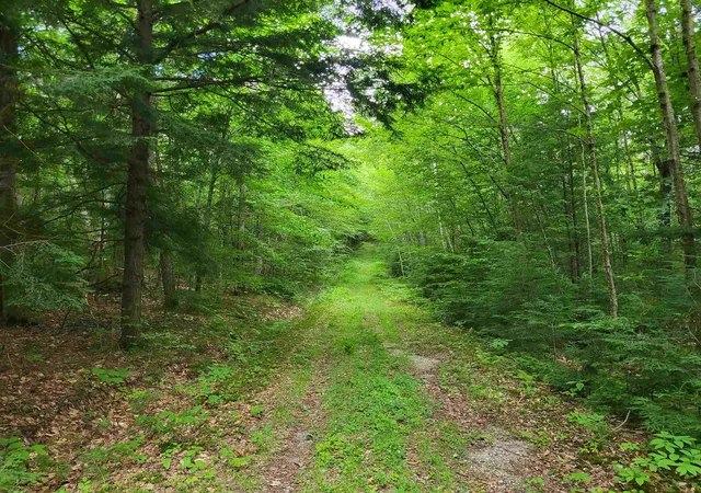 3rd image of Lot 2 Bear Mountain Rd, Hebron, NH 03241 | MLS# 5104418