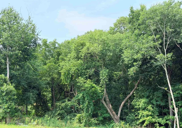 Photo 2 of Land for sale at Lot 5 Jeb's Wy, Bristol, VT 05443 | MLS# 5104471 | Listing updated on 2026-08-11