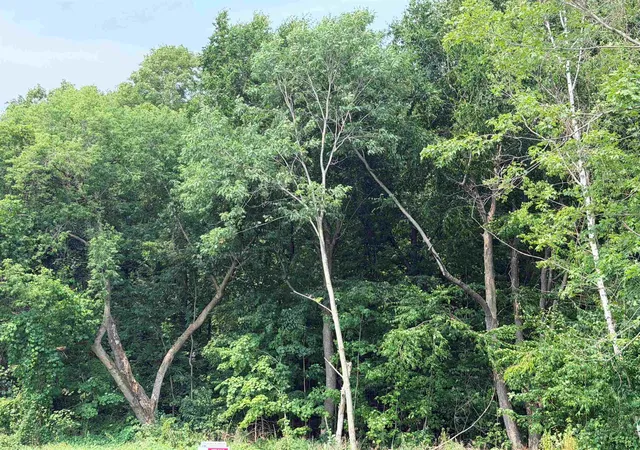 Photo 3 of Land for sale at Lot 5 Jeb's Wy, Bristol, VT 05443 | MLS# 5104471 | Listing updated on 2026-08-11