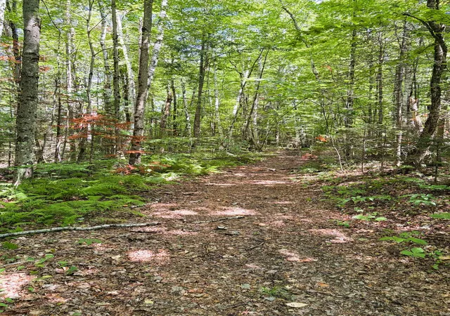 5th image of 0 Osgood Farm Rd, Littleton, NH 03561 | MLS# 5104553