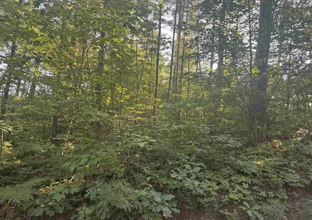 Photo 3 of Land for sale at 5 John Hodsdon Rd, Ossipee, NH 03864 | MLS# 5104566 | Listing updated on 2026-08-24