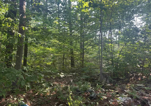Photo 4 of Land for sale at 5 John Hodsdon Rd, Ossipee, NH 03864 | MLS# 5104566 | Listing updated on 2026-08-24