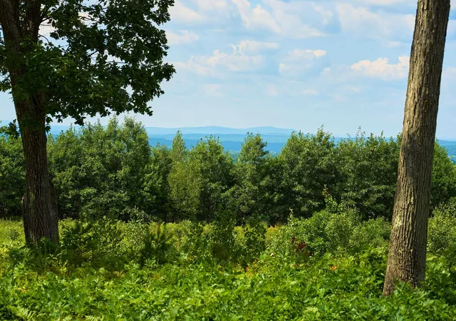 3rd image of 664 Borough Rd Rd, Pembroke, NH 03275 | MLS# 5104748