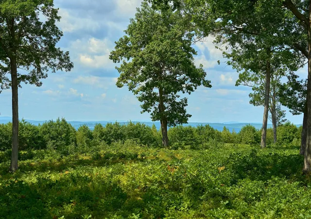 4th image of 664 Borough Rd, Pembroke, NH 03275 | MLS# 5104754