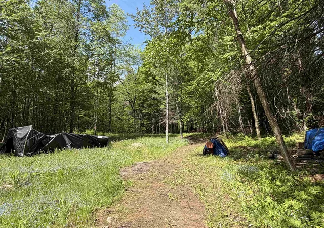 4th image of 7 Pine Rd, Milan, NH 03588 | MLS# 5104758