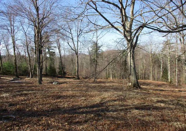 Photo 3 of Single family home for sale at 100 Wildcat Hill Rd, New Ipswich, NH 03071 | MLS# 5104788 | Listing updated on 2026-08-13