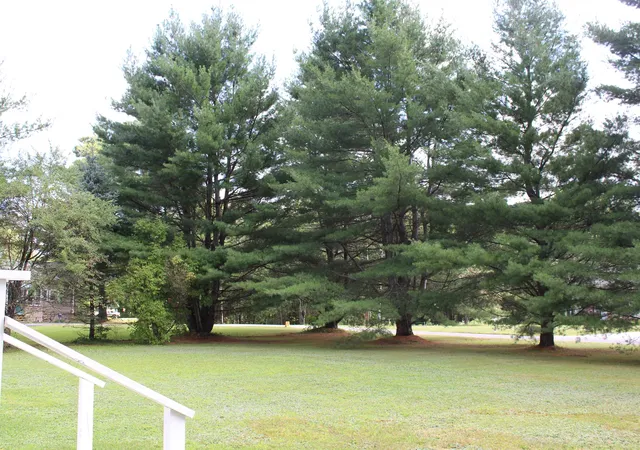 32nd image of 189 Parker Rd, Carroll, NH 03598 | MLS# 5104854