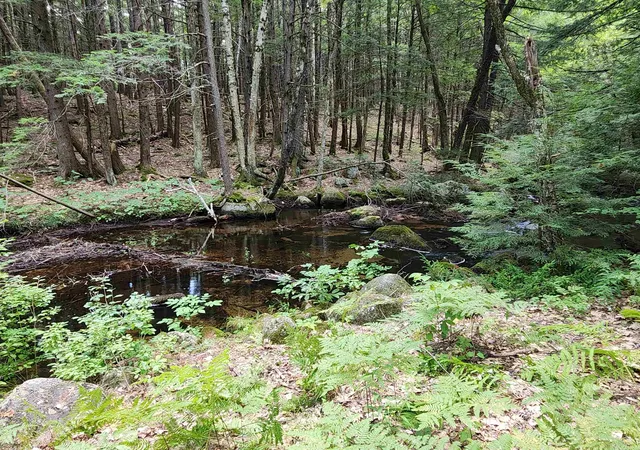 29th image of 1915 Nh 16 Rte, Conway, NH 03818 | MLS# 5104942