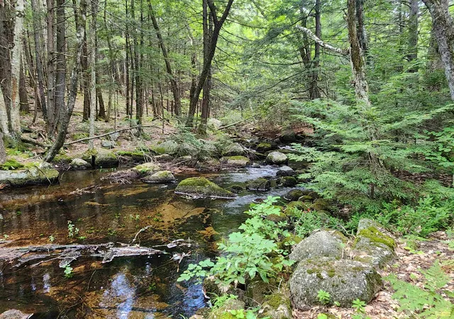 Photo 3 of Single family home for sale at 1915 Nh 16 Rte, Conway, NH 03818 | MLS# 5104942 | Listing updated on 2026-08-13
