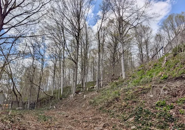 Photo 4 of Land for sale at 00 Perrin St, Barre, VT 05641 | MLS# 5104970 | Listing updated on 2026-08-27