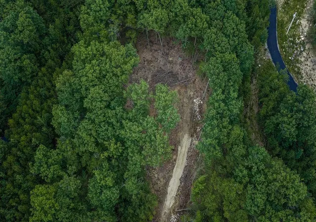 Photo 4 of Land for sale at 10-26-10 Frohock Brook Rd, Alton Bay, NH 03810 | MLS# 5105008 | Listing updated on 2026-08-27