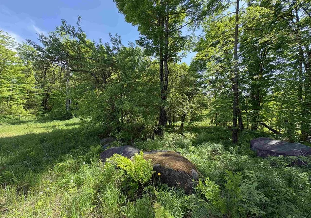 Photo 2 of Land for sale at 0 Old Pond Hill Rd, Lunenburg, VT 05906 | MLS# 5105022 | Listing updated on 2026-08-14
