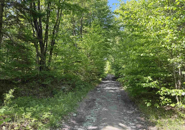 Photo 3 of Land for sale at 0 Old Pond Hill Rd, Lunenburg, VT 05906 | MLS# 5105022 | Listing updated on 2026-08-14