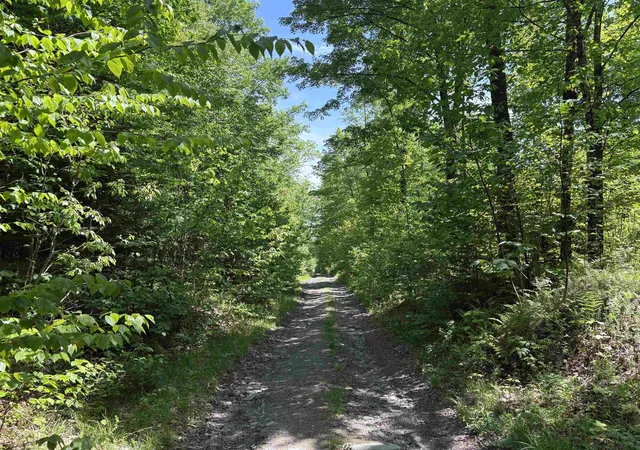 Photo 3 of Land for sale at 0 Old Pond Hill Rd, Lunenburg, VT 05906 | MLS# 5105022 | Listing updated on 2026-08-14