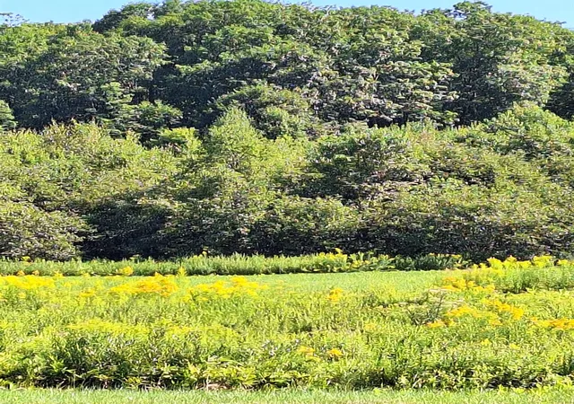 Photo 2 of Land for sale at 125 Hollins Rd, Haverhill, NH 03765 | MLS# 5105069 | Listing updated on 2026-09-16