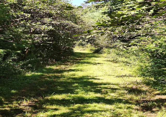 Photo 4 of Land for sale at 125 Hollins Rd, Haverhill, NH 03765 | MLS# 5105069 | Listing updated on 2026-09-16
