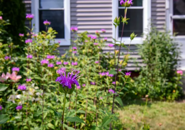 Photo 2 of Single family home for sale at 85 Highland Ave, Hinsdale, NH 03451 | MLS# 5105076 | Listing updated on 2026-09-14