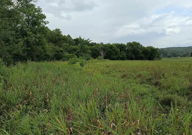 Photo 4 of Land for sale at 0 Route 15 Route, Wolcott, VT 05680 | MLS# 5105086 | Listing updated on 2026-08-14