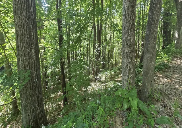 Photo 3 of Land for sale at Map 101 Lot 18 Berry River Rd, Barrington, NH 03825 | MLS# 5105093 | Listing updated on 2026-08-14