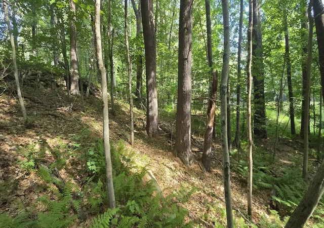 Photo 3 of Land for sale at Map 101 Lot 18 Berry River Rd, Barrington, NH 03825 | MLS# 5105093 | Listing updated on 2026-08-14
