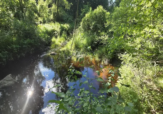 Photo 4 of Land for sale at Map 101 Lot 18 Berry River Rd, Barrington, NH 03825 | MLS# 5105093 | Listing updated on 2026-08-14