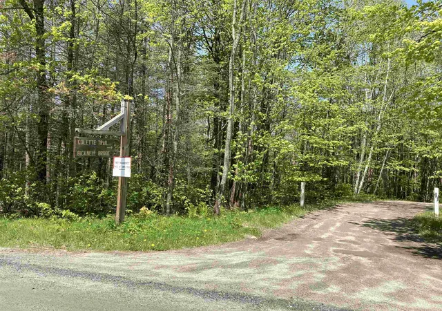 12th image of Lot 4 Nh Route 4a, Grafton, NH 03240 | MLS# 5105143